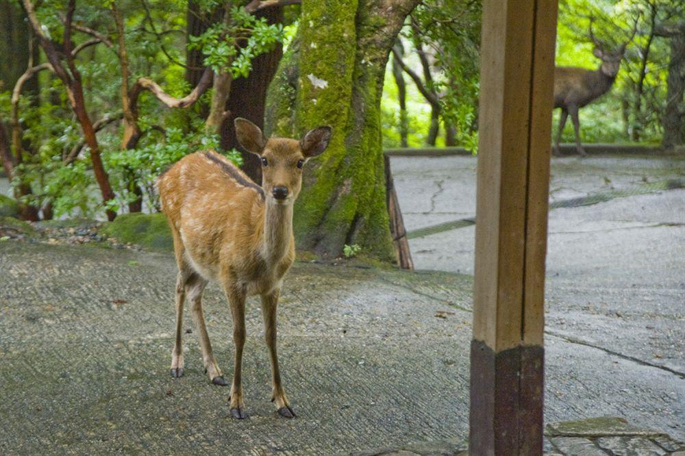 月日亭酒店 奈良 外观 照片
